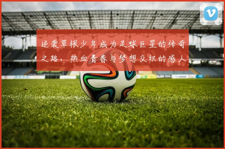 逆袭草根少年成为足球巨星的传奇之路，热血青春与梦想交织的感人故事