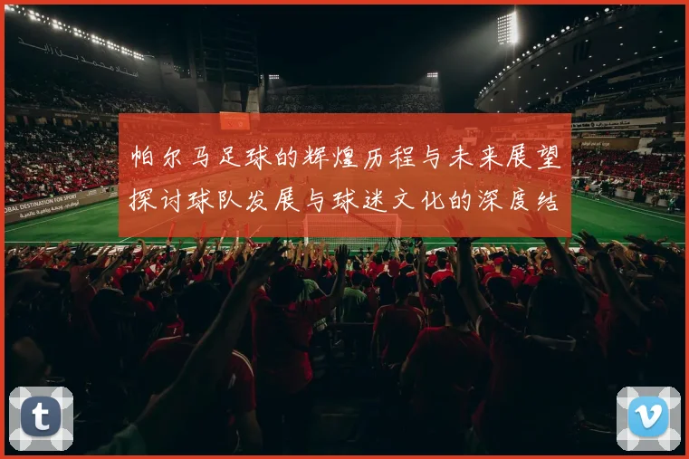 帕尔马足球的辉煌历程与未来展望探讨球队发展与球迷文化的深度结合