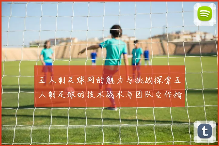 五人制足球网的魅力与挑战探索五人制足球的技术战术与团队合作精神